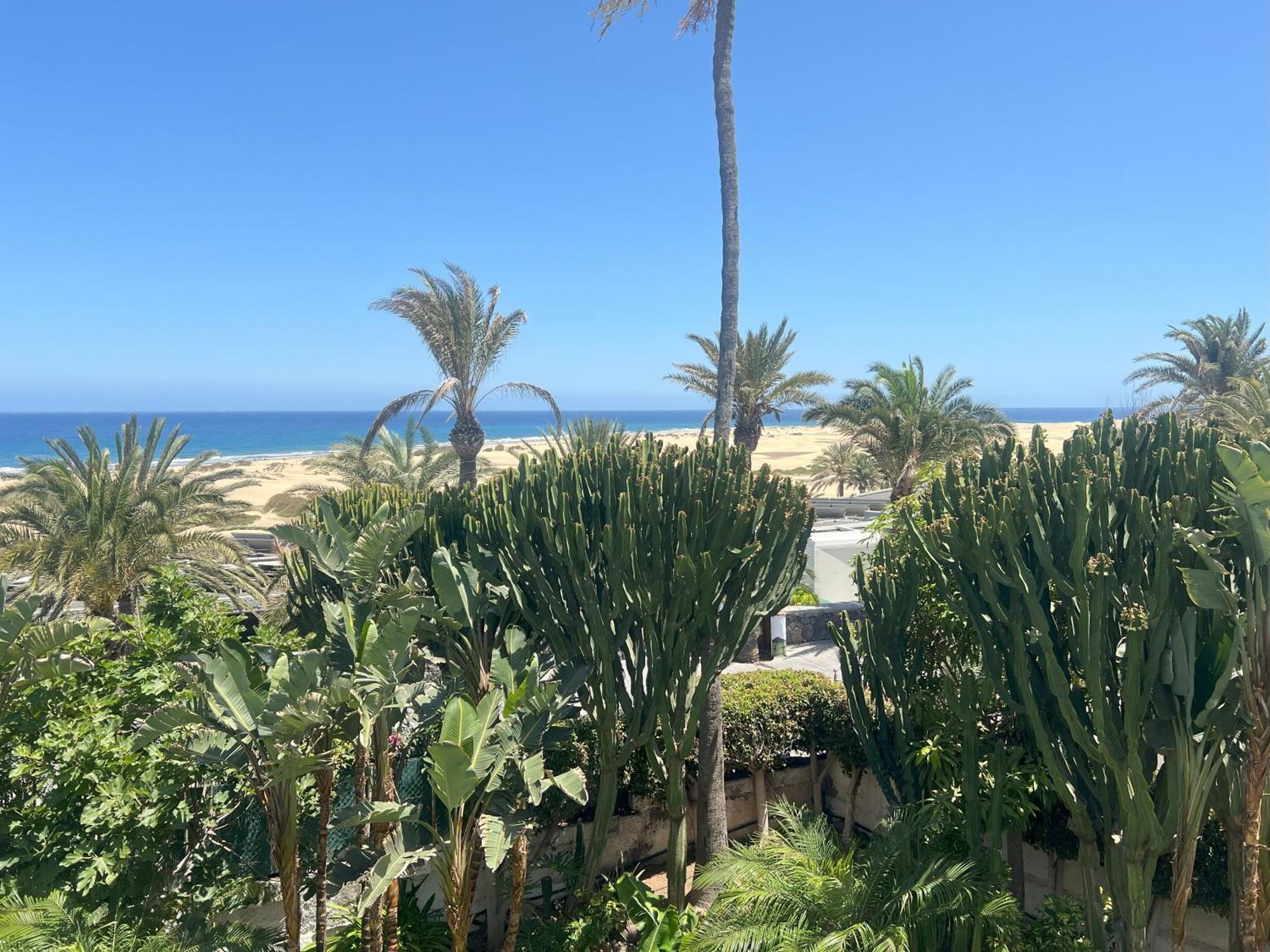 Taboga (adults Only) * Playa del Ingles (Gran Canaria)